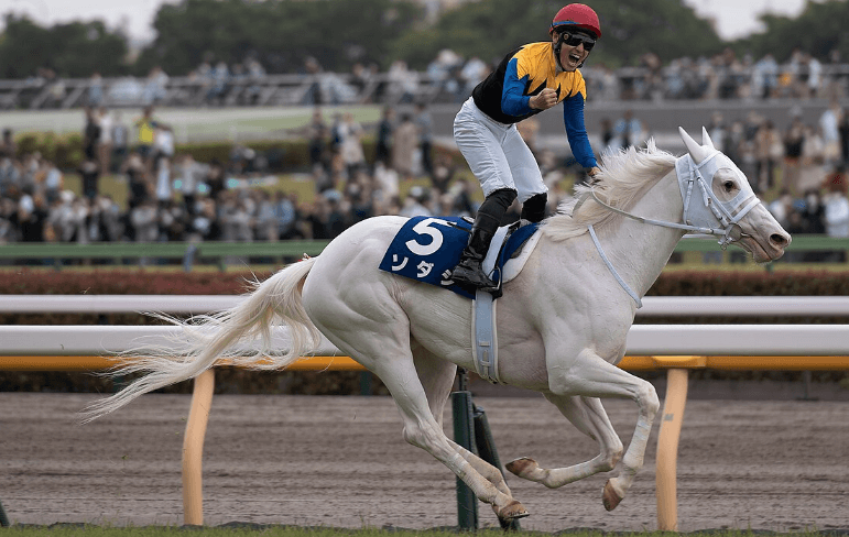Japanese Horse Racing: A Blend of Tradition and Technology